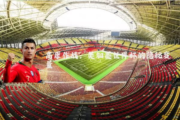 高原作战：美加墨世界杯的隐秘变量